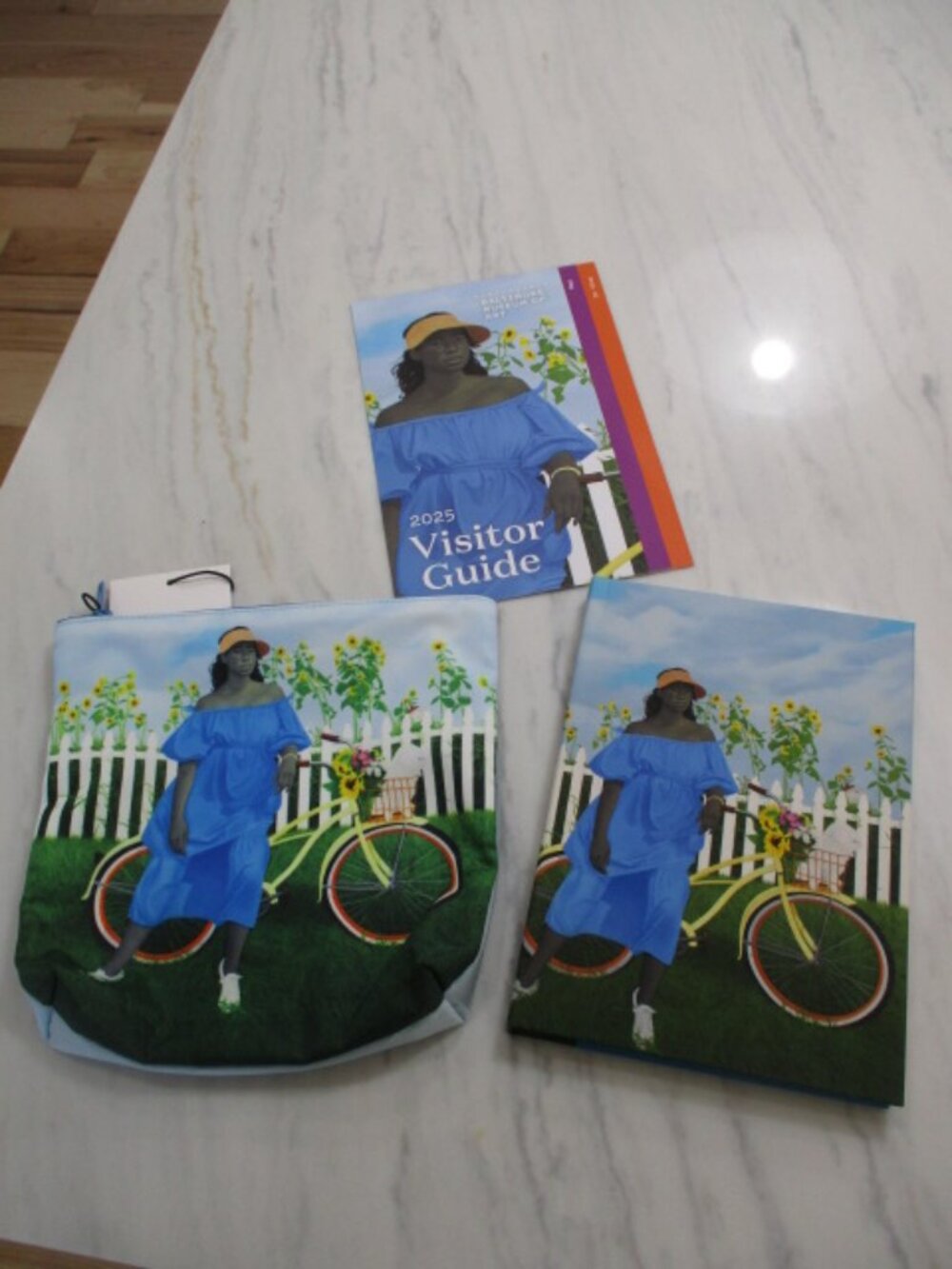 Amy Sheridan Pouch and Book NWT